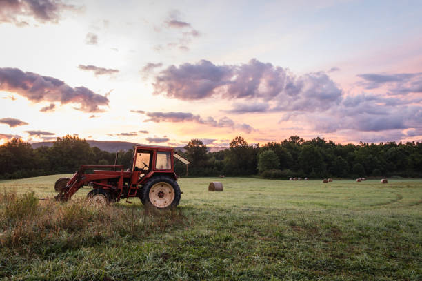 istock Red tractor and freshly rolled hay bales rest on rolling hill with dramatic cloudscape at sunrise 1271183514