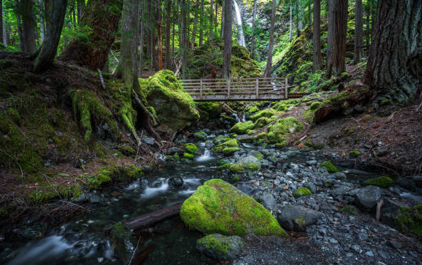 istock Lupin Falls on Vancouver Island 1271184532
