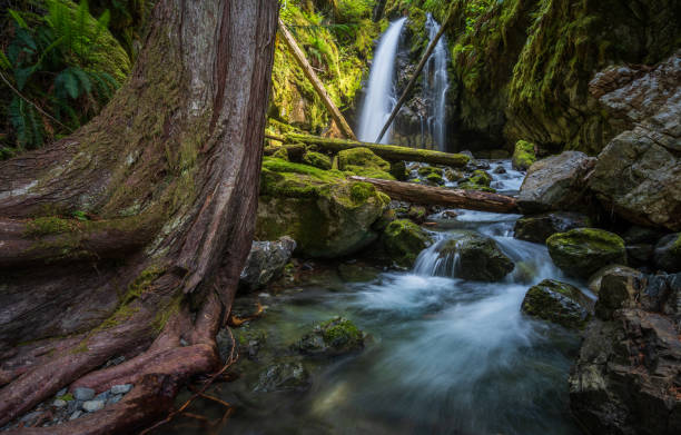 istock Karst Creek Falls Vancouver Island 1271184972