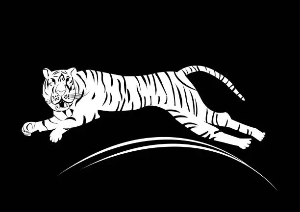 Vector illustration of Tiger,