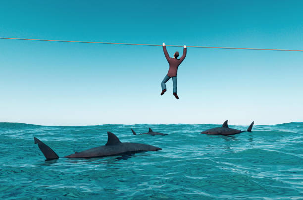 istock Sharks looking for a prey as man holds on to wire above water 1271188319