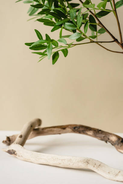 istock Natural background for cosmetic products. 1271188558