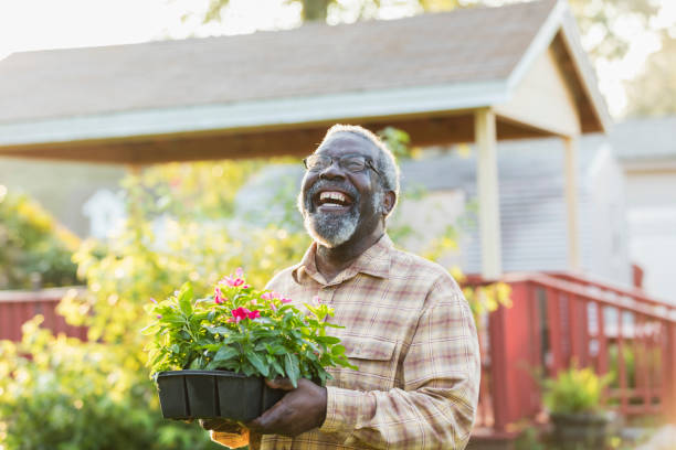 senior afro-americano uomo giardinaggio - planting clothing gray hair human age foto e immagini stock