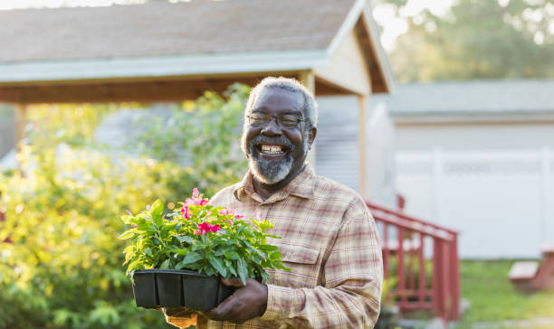 istock Senior African-American man gardening 1271188666
