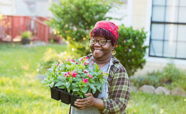 senior afro-americano donna giardinaggio - women large build gardening outdoors foto e immagini stock