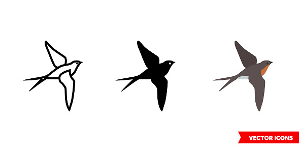 Barn swallow icon of 3 types. Isolated vector sign symbol.