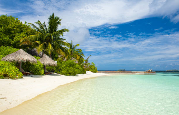 istock Paradise island in the Maldives 1271191344