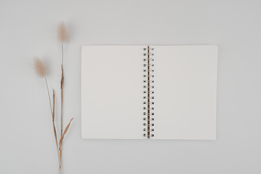 Blank spiral bound sketchbook or journal or diary with Rabbit tail dry flower. Mock-up of stationary. Top view of empty drawing book on white background. Flat lay minimalism style.
