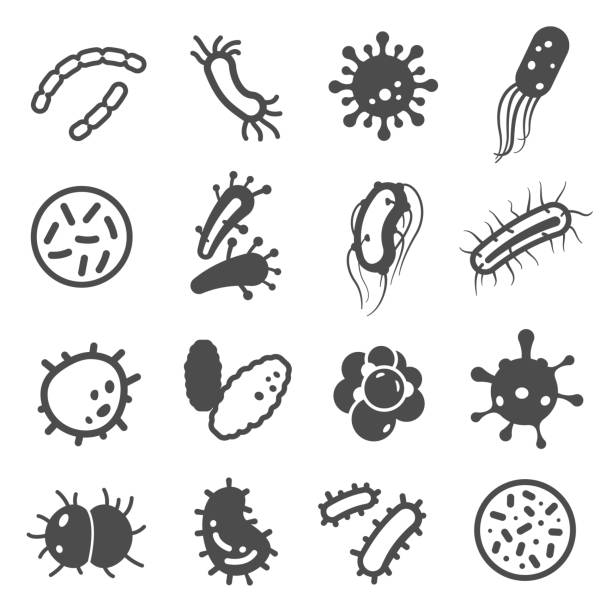 ilustrações de stock, clip art, desenhos animados e ícones de bacteria, microbes icons set isolated on white. infection, bacillus, pathogen pictograms. - sti