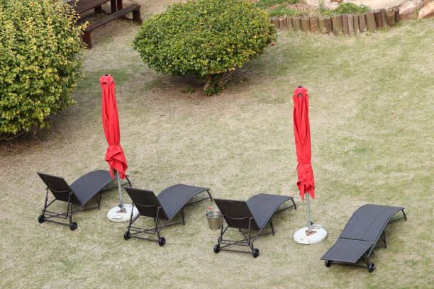 istock Deck chairs on a green lawn at a holiday resort. 1271195242