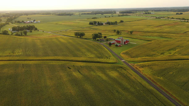 widok z lotu ptaka na amerykańskie gospodarstwo środkowo-zachodnie, pole kukurydzy w sezonie zbiorów - aerial view mid air farm field zdjęcia i obrazy z banku zdjęć