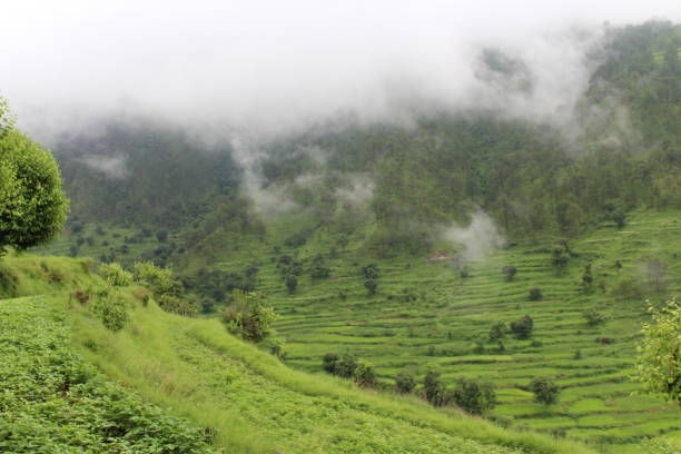 istock Nagtibba, Uttarakhand 1271196798