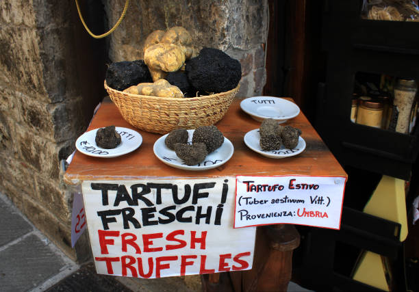 trufas de umbría, italia. traducción en la descripción - fresh summer truffle fotografías e imágenes de stock