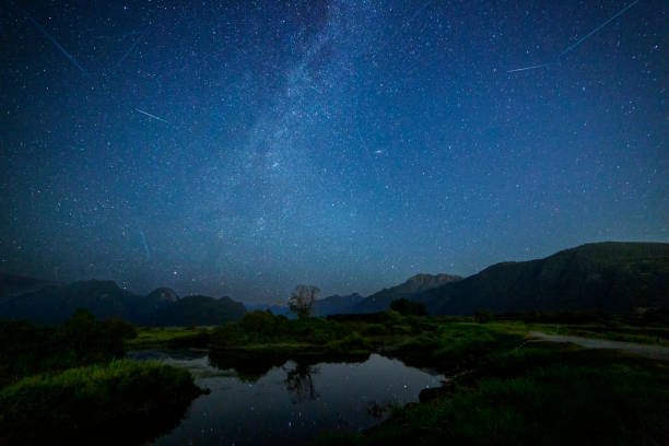 istock meteor shower, viewed from Pitt Meadows, BC, Canada 1271198363