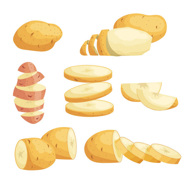 ilustrações de stock, clip art, desenhos animados e ícones de cartoon potatoes set. whole, sliced, peeled. flying slices. farm fresh vegetables. best for market, packages. vector illustrations collection. - potato skin