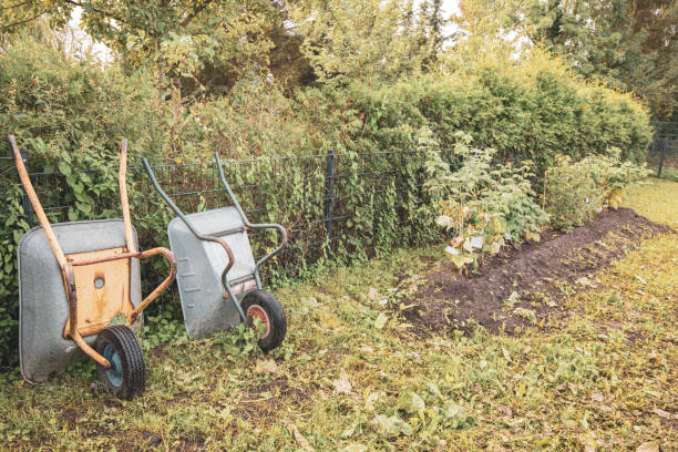 istock next to a vegetable patch two wheelbarrows stand side by side in a garden 1271201118