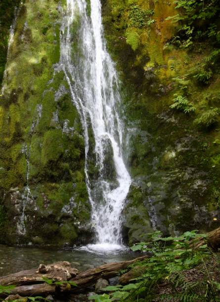 istock Madison Falls In Olympic National Park 1271204458
