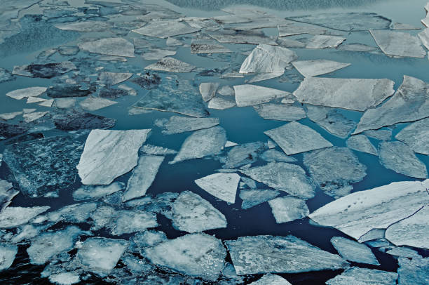 Natural ice blocks in water. Sea ice during freezing winter weather.