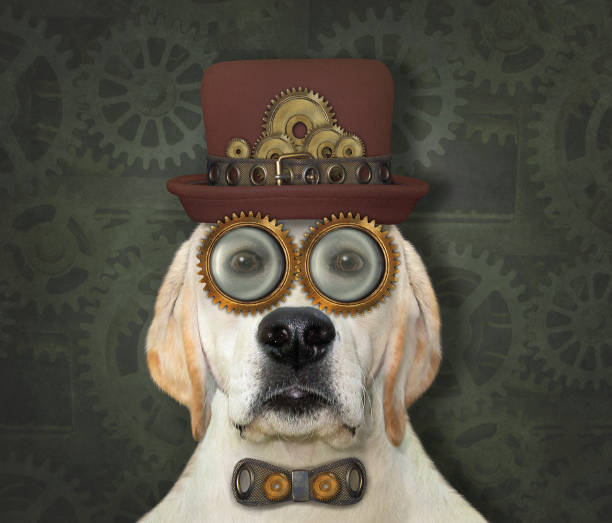 istock Dog steampunk in bow tie 3 1271207114