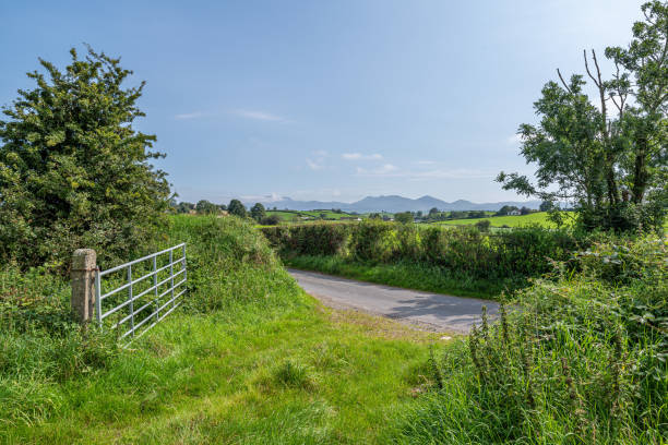 Metal gate Rural lane, edged by hedges, leading towards mountains in the distance stock photo