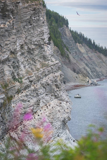 Staggered rocky formation in the water