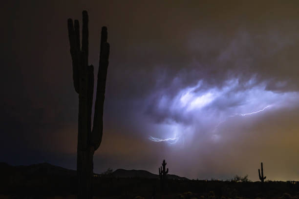 istock Lightning over Arizona's Sonoran Desert 1271218663