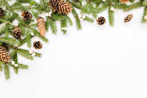 istock Christmas composition with fir branches, pine cones on white background. Flat lay, top view 1271218766