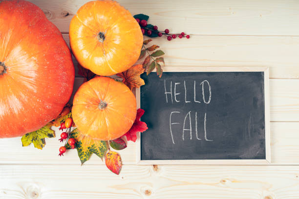istock Hello fall. Pumpkins, berries and fallen leaves with chalk blackboard frame on wooden background. Halloween, Thanksgiving day or seasonal autumnal. Flat lay, top view 1271218824