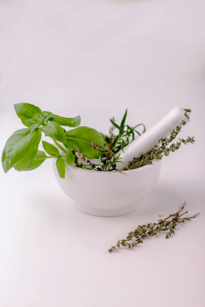 istock Green basil, thyme, oregano in white ceramic mortar and pestle 1271223432