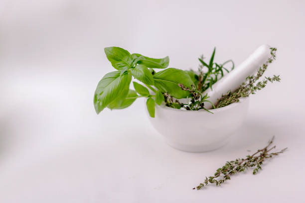 istock Green basil, thyme, oregano in white ceramic mortar and pestle 1271223433