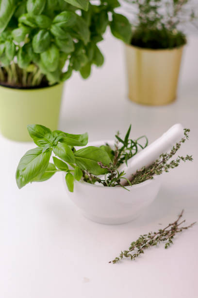 istock Green basil, thyme, oregano in white ceramic mortar and pestle 1271223435
