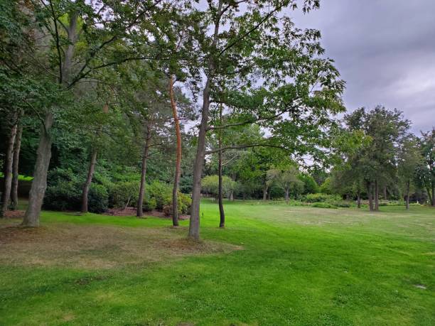 istock Scenic view of Park. 1271223488
