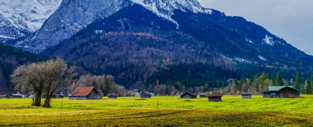 istock Barn Huts on Meadow Alps Bavaria 1271226268