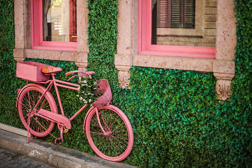 Grass-Covered Building, Pink Window, Pink Bike