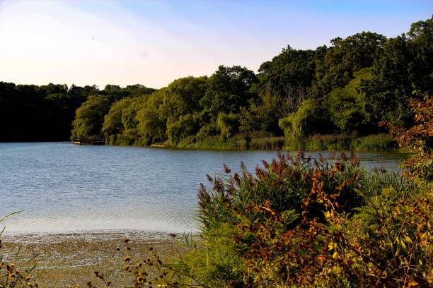 istock Lake views in High Park 1271230345
