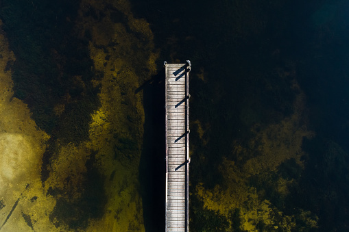 Jetty over lake Mapurika, Westland, South Island, New Zealand.