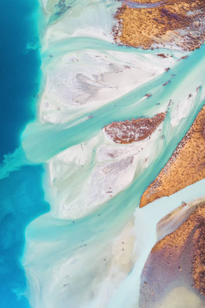 istock Aerial View Of Braided River. 1271231977