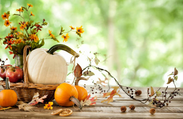 秋のカボチャの背景 - bouquet flower autumn vase ストックフォトと画像