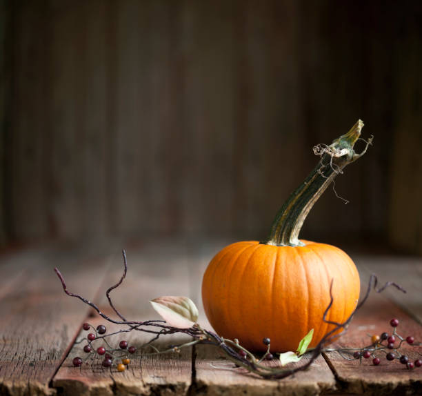 fondo de calabaza de otoño - pumpkin simplicity rustic old fotografías e imágenes de stock