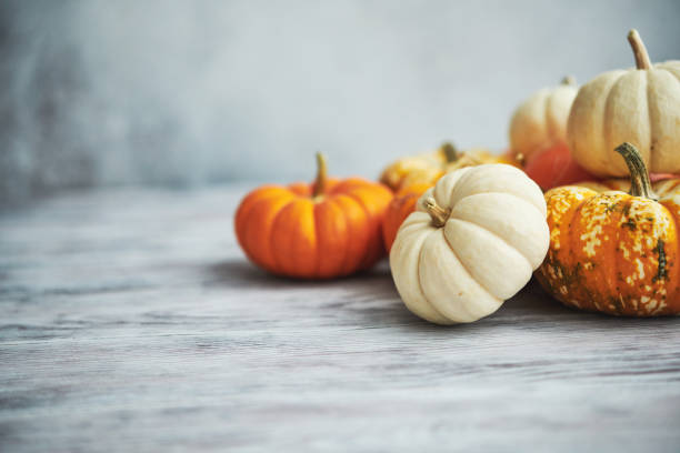 istock Thanksgiving Fall Background with Pumpkin Collection 1271243486
