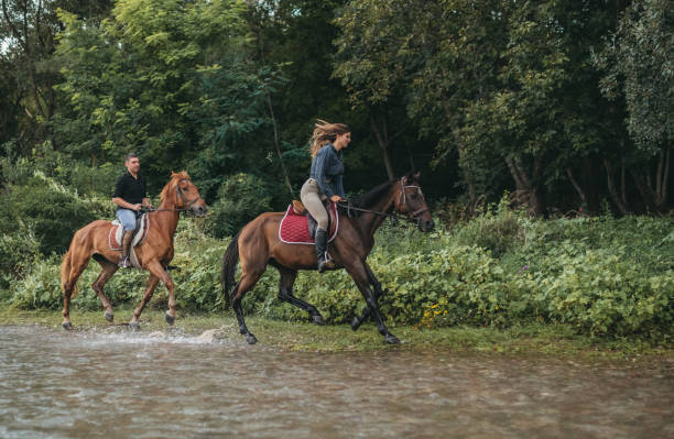 istock Horse riding by the river 1271244248