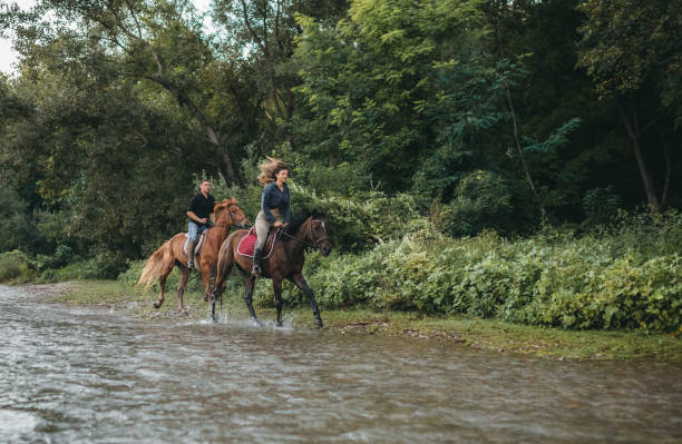 istock Horse riding by the river 1271244249