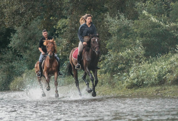 istock Horse riding by the river 1271244277
