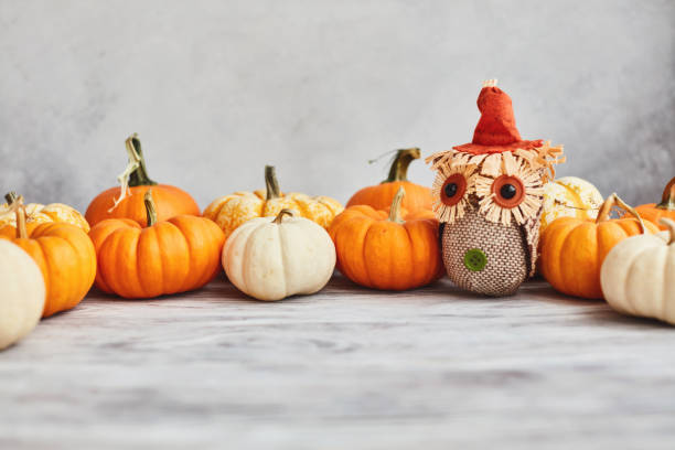Thanksgiving Fall Background with Pumpkin Collection and Fabric Owl