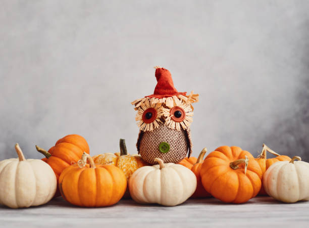 istock Thanksgiving Fall Background with Pumpkin Collection and Fabric Owl 1271244308