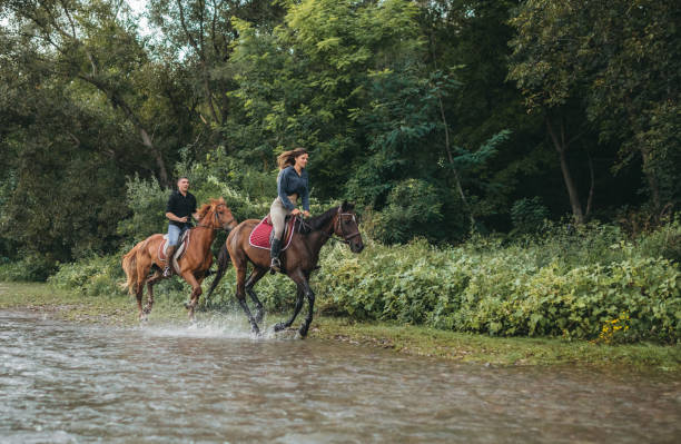 istock Horse riding by the river 1271244356