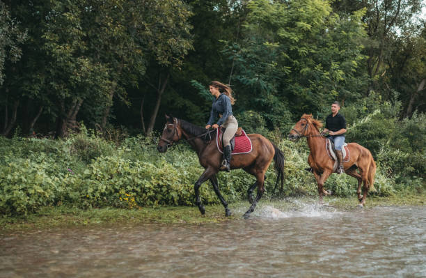 istock Horse riding by the river 1271244357