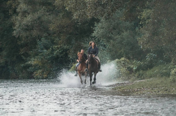 istock Horse riding by the river 1271244401