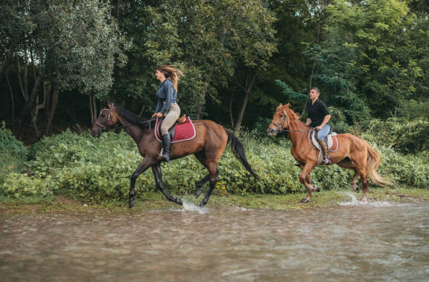 istock Horse riding by the river 1271244988