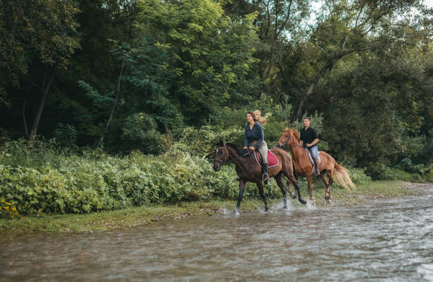 istock Horse riding by the river 1271245014